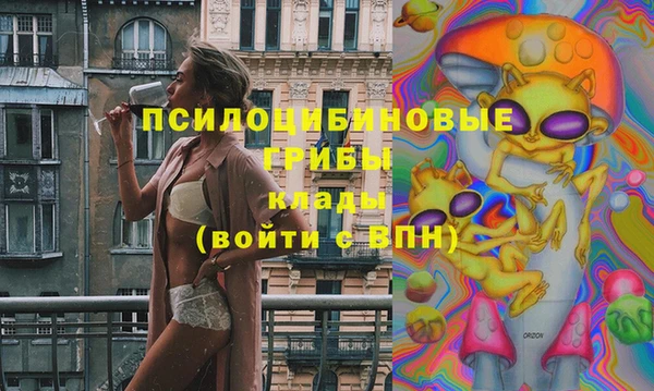2c-b Ленинск
