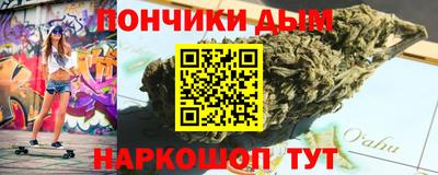 ALPHA PVP Гатчина