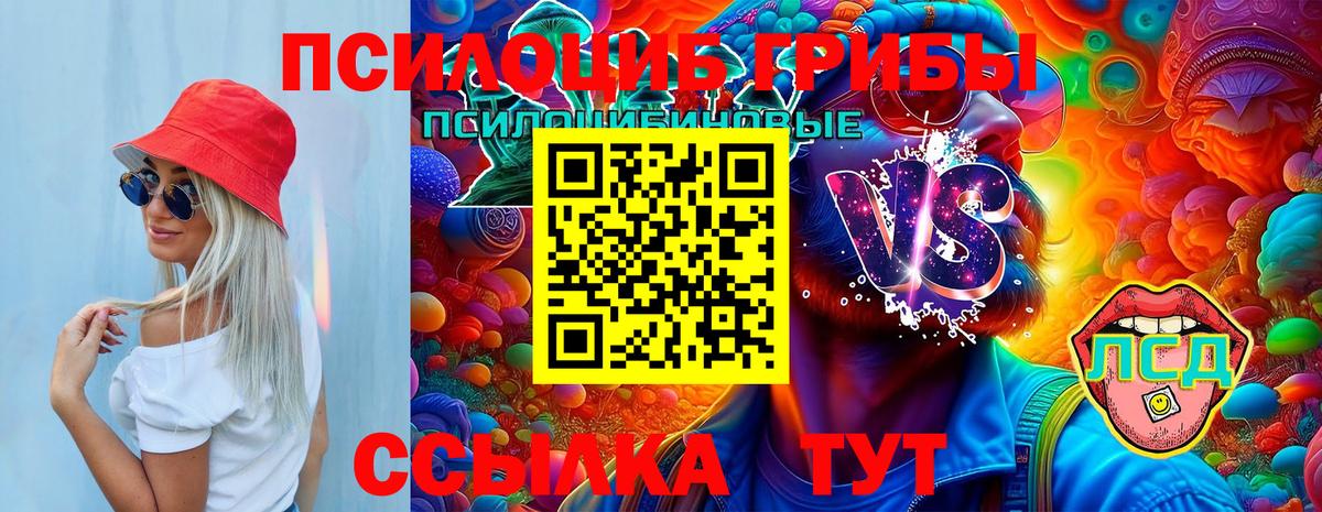 Галлюциногенные грибы Psilocybe  Вход с VPN  Алушта 