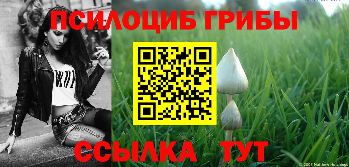 Алушта  NBOMe  Героин  ТГК  Каннабис  МЕФ кристаллы  Меф МЯУ МЯУ   КОКАИН  ГАШИШ 